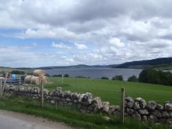 Loch Duntelchaig