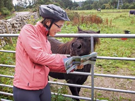 cyclist asking for directions from pony